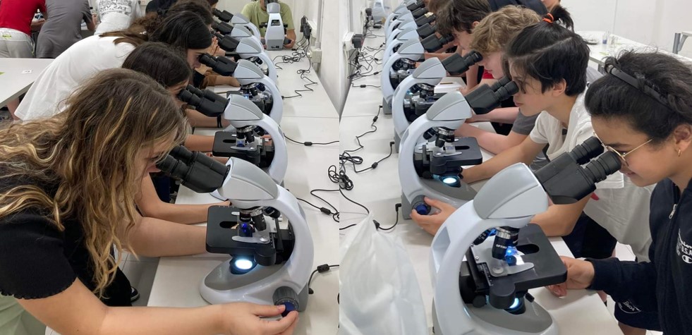 Studenti impegnati ad osservare cellule col microscopio ottico.