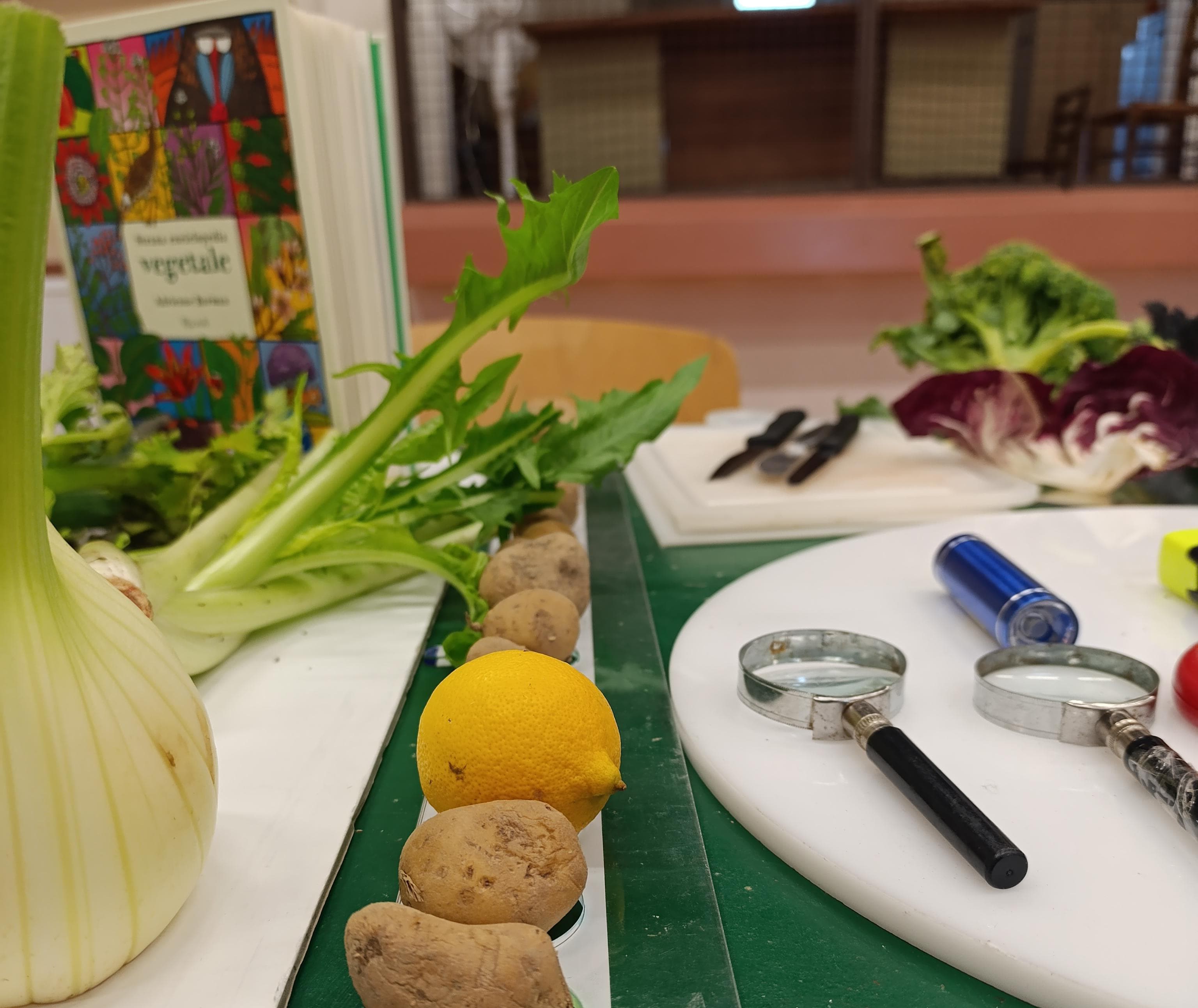 Postazione allestita per l'attività artistica, da svolgere con frutta e verdura e lenti di ingrandimento per l'osservazione mirata.