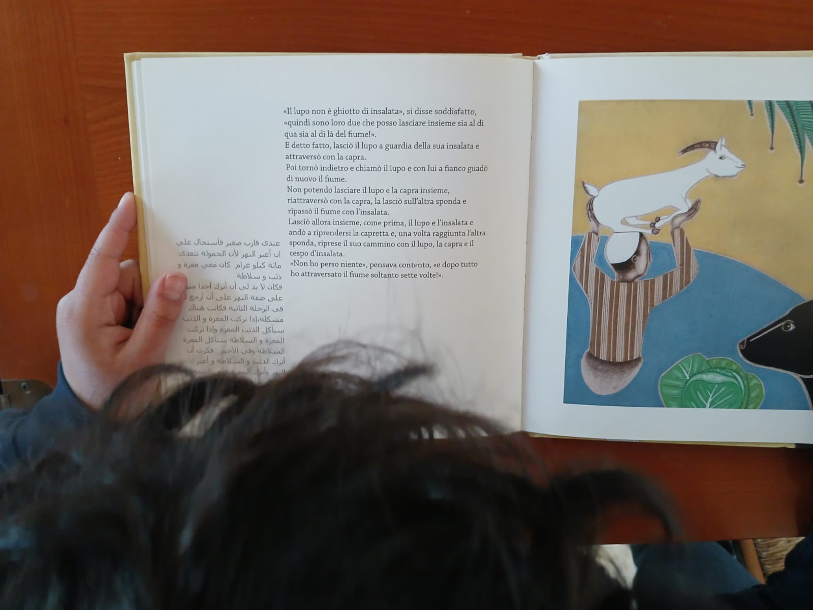 Un bambino ripreso dall'alto che ha un libro in mano e legge.