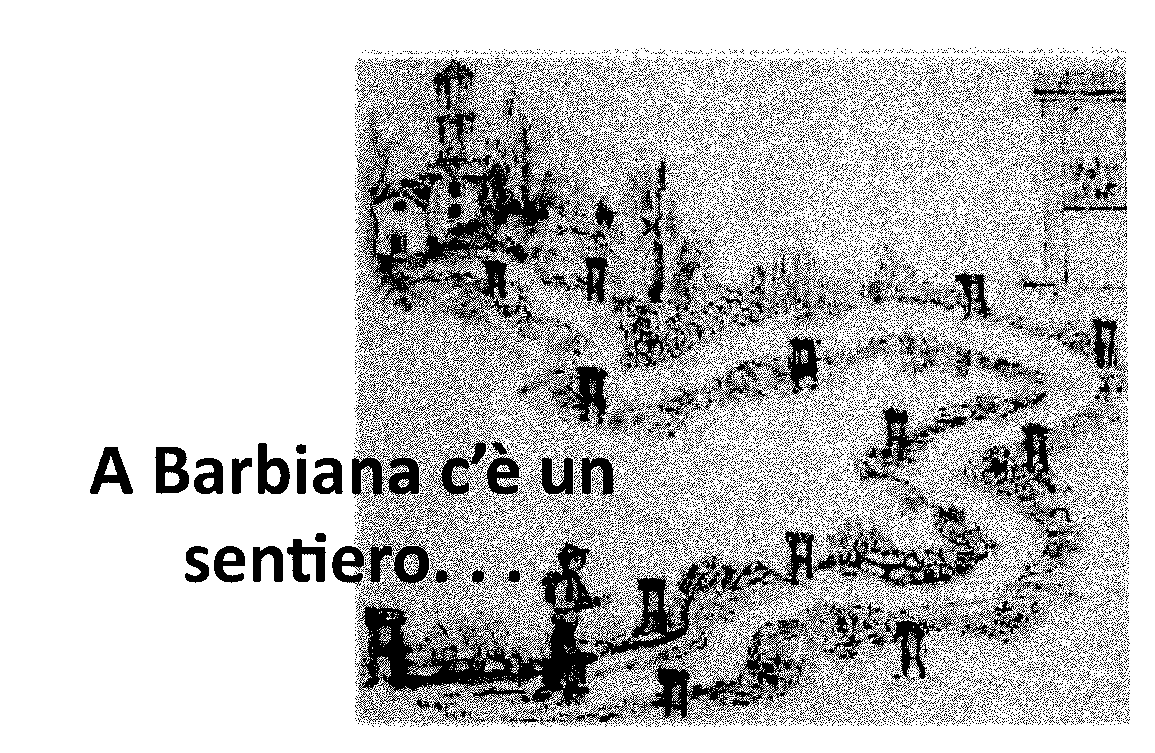 Il sentiero di Barbiana